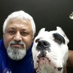 Metin