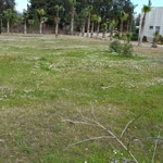 Yusuf