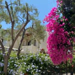Busra
