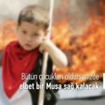 Musa
