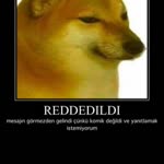 Bu Türkler