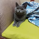 Şükrü
