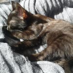 Zeynep
