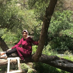 Melek