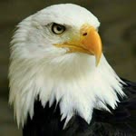 Ökkeş