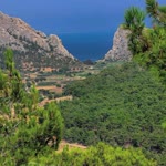 Orhan