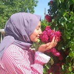 Hediye