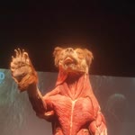Baran