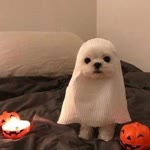 Mine