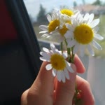 Elif