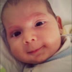 Bahar