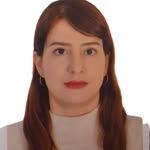 Elnaz