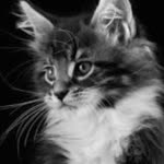 Gizem
