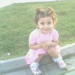 Şahin