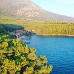 Betül