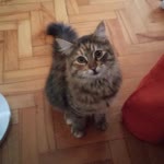 Profil fotoğrafı