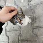Eylül