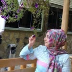 Şeyma