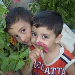 Emine