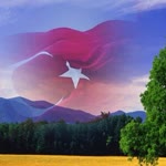 Yüksel