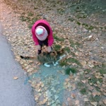 Elif