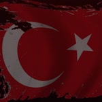Nur