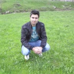 Nihat
