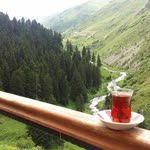 Nur