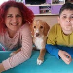 Gülşen
