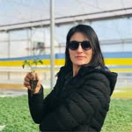 Elif