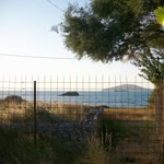 Tarık