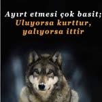 Soner