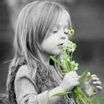 Sirin