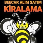 Doğan