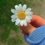 Hatice