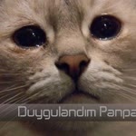 Hakan