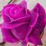 Asri