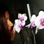 Ceyda