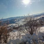 Mesutcan