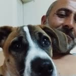 Dogan