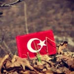 Gamze