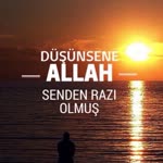 Mesude