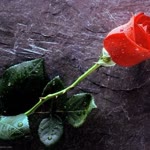 Ferhat