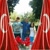 Erdal