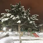 Duygu