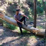 Samet