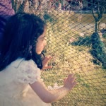 Ayse