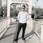 Doğan