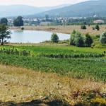 Bünyamin