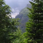 Gülçin